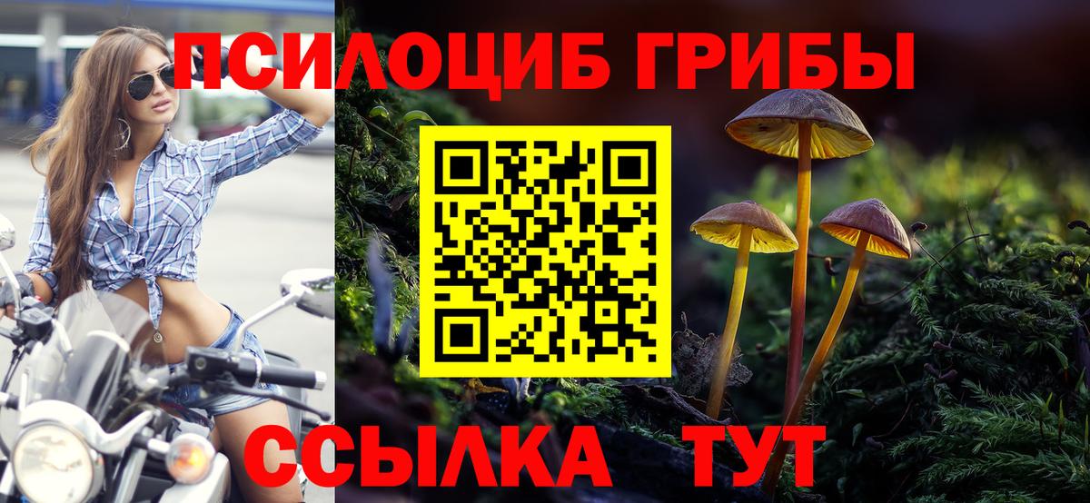 Коммунар  Галлюциногенные грибы мухоморы  Вход с VPN 